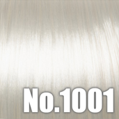 No.1001