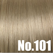 No.101