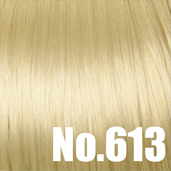 No.613